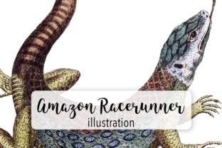 Amazon Race Runner Watercolor Illustrations Review