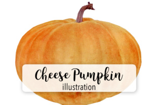 Cheese Pumpkin Watercolor Illustrations
