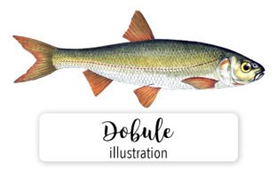 Dobule Watercolor Embroidery Design Review