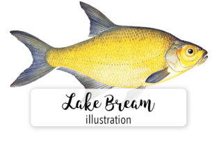 Lake Bleam Watercolor Illustrations