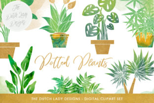 Plants Clipart Set: Indoor Greenery Illustrations