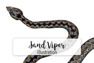 Sand Viper Watercolor: Editorial Illustrations
