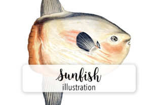 Sunfish Watercolor: A Designer's Real-World Review