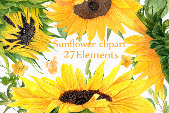 Sunflower Watercolor Clipart & Illustrations