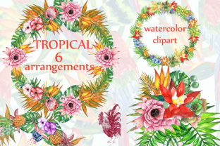 Tropic Watercolor Clipart & Illustrations