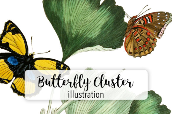 Vintage Butterfly Cluster Watercolor Review