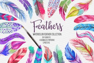 Watercolor Feathers Collection Illustrations Review
