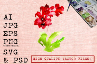 Watercolor Maroon Orchids: Premium Illustrations