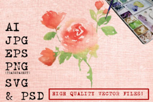 Watercolor Red Roses Illustrations Review