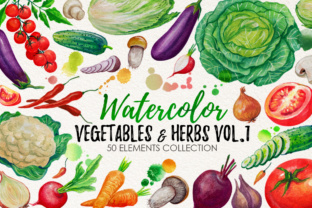 Watercolor Vegetables Illustrations Review