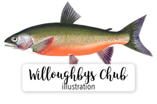 Willoughbys Chub Watercolor: Editorial Illustrations
